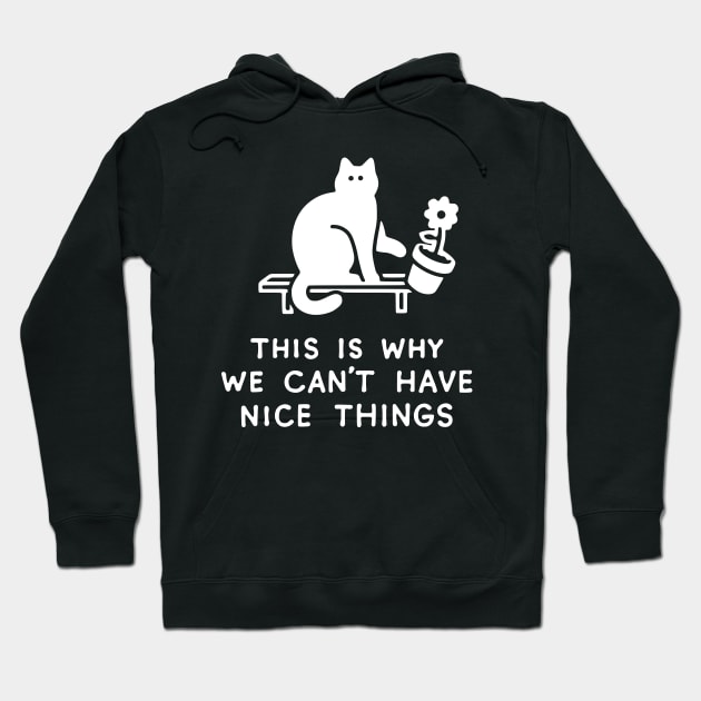 THIS IS WHY WE CAN'T HAVE NICE THINGS Hoodie by obinsun